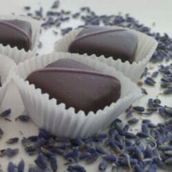 lavender infused chocolates